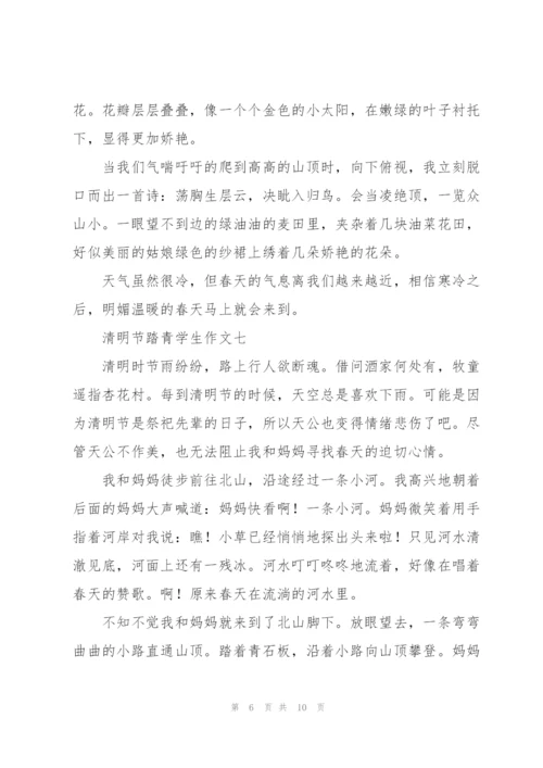 清明节踏青学生作文10篇.docx