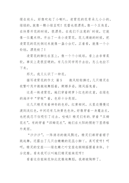 描写凌霄花的作文.docx