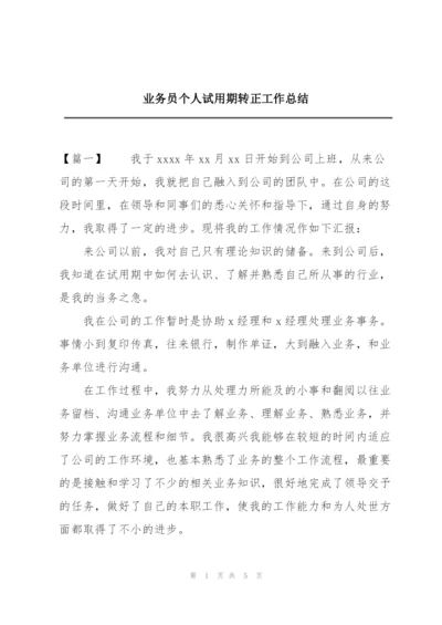 业务员个人试用期转正工作总结.docx