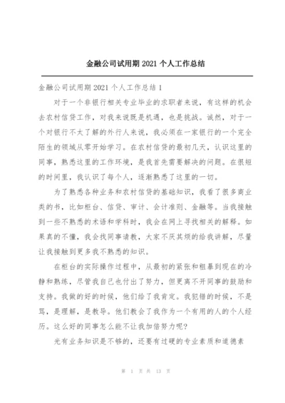 金融公司试用期2021个人工作总结.docx