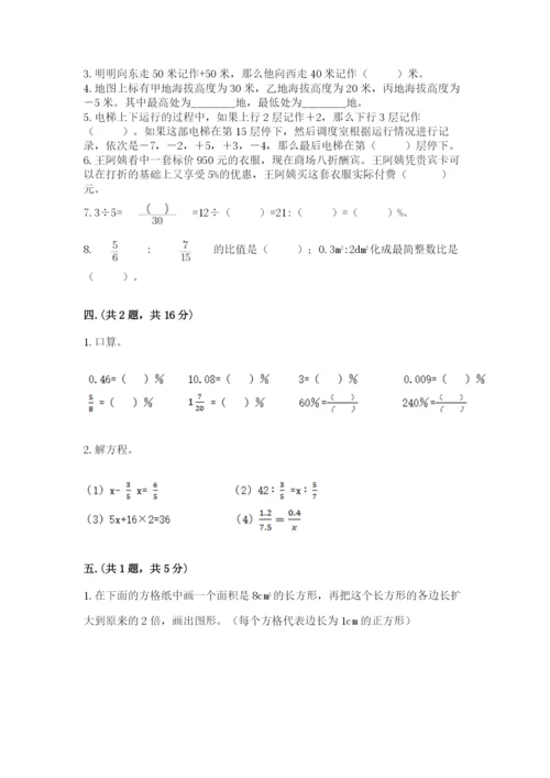 人教版六年级数学小升初试卷附完整答案【典优】.docx