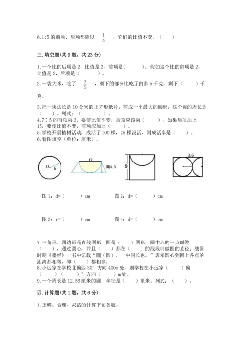人教版六年级上册数学期末测试卷（典优）word版.docx