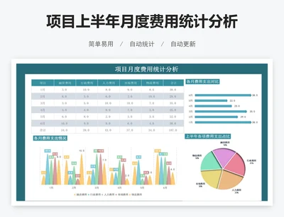 项目上半年月度费用统计分析