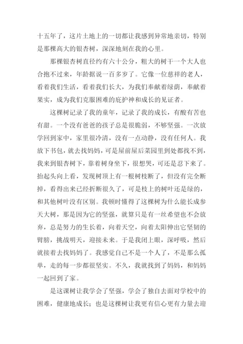 杏树作文800字0.docx