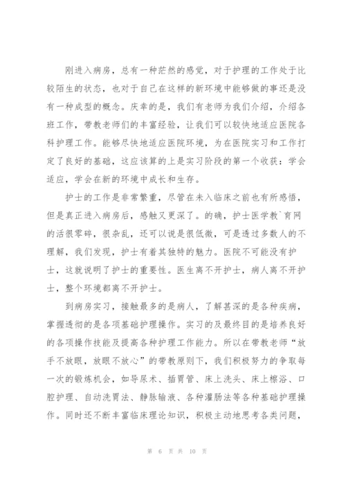 护士个人实习总结【三篇】.docx