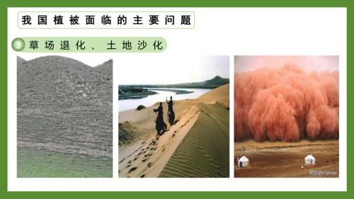 3.6 爱护植被，绿化祖国2023-2024学年七年级生物上册精品课件（人教版）(共21张PPT)