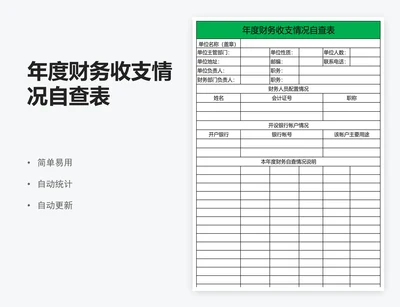 年度财务收支情况自查表