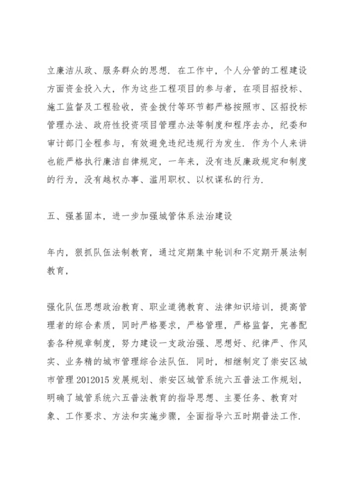 干部年度述法表个人总结.docx