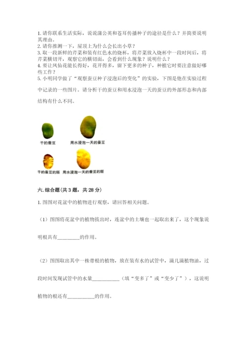 教科版四年级下册科学第一单元《植物的生长变化》测试卷精品【名师推荐】.docx