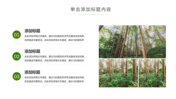 原始森林湿地植树造林森林环保PPT模板
