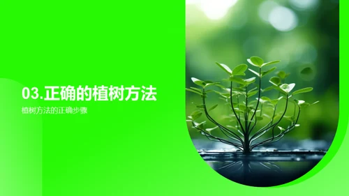 植树节：绿化生活