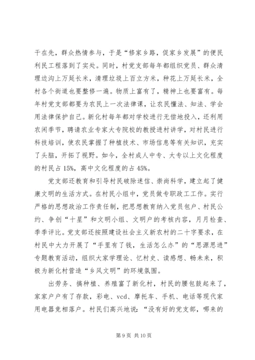 村党支部典型事迹 (5).docx