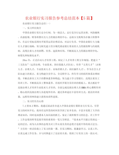 精编之农业银行实习报告参考总结范本【5篇】.docx