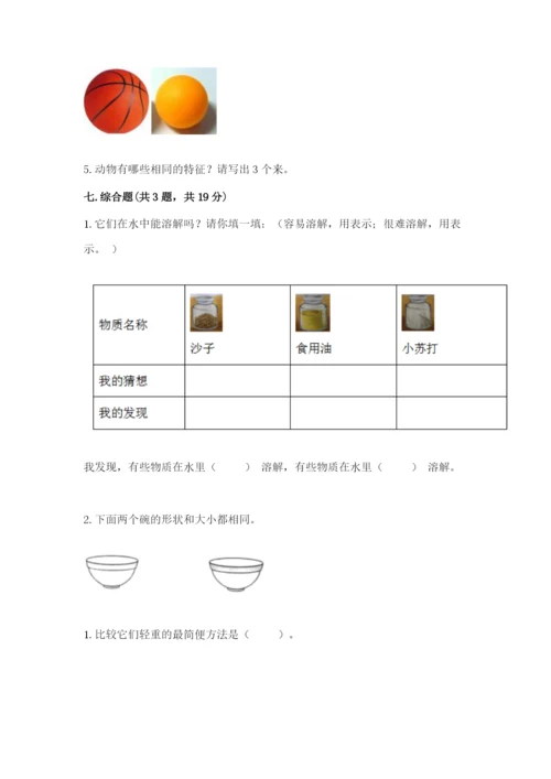 教科版一年级下册科学期末测试卷及参考答案【基础题】.docx