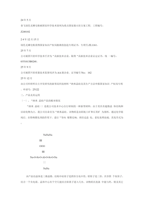 日化股份有限公司商业计划书.docx