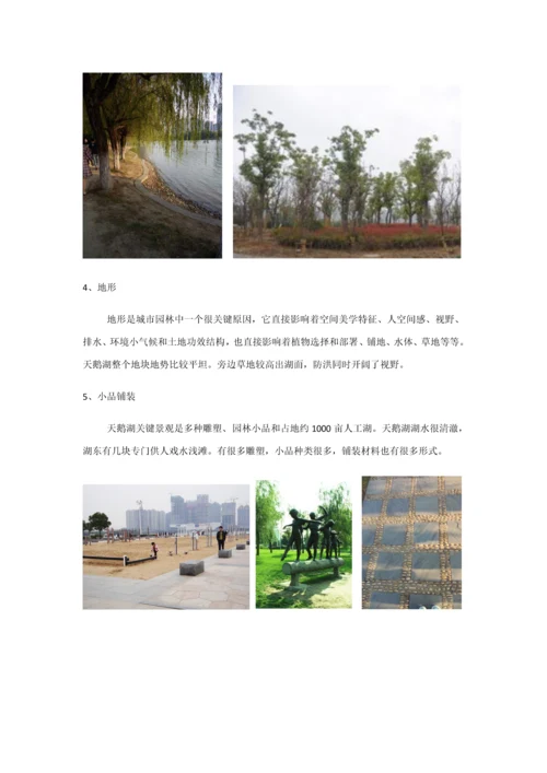 合肥市天鹅湖公园调研研究报告.docx