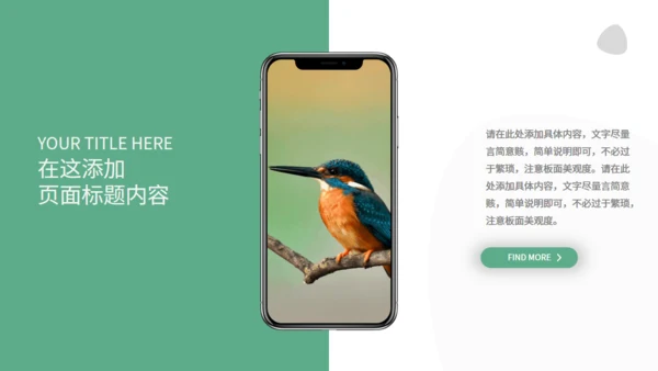 绿色自然生态动物保护宣传通用PPT模板