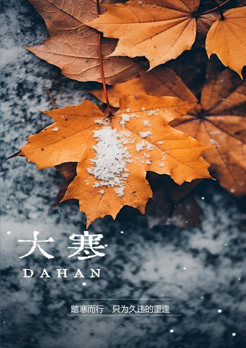枫叶背景的大寒节气海报