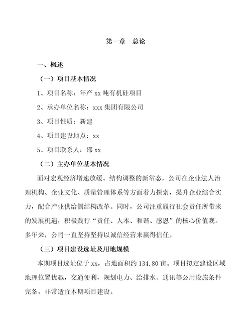 珠海年产xx吨有机硅项目可行性研究报告