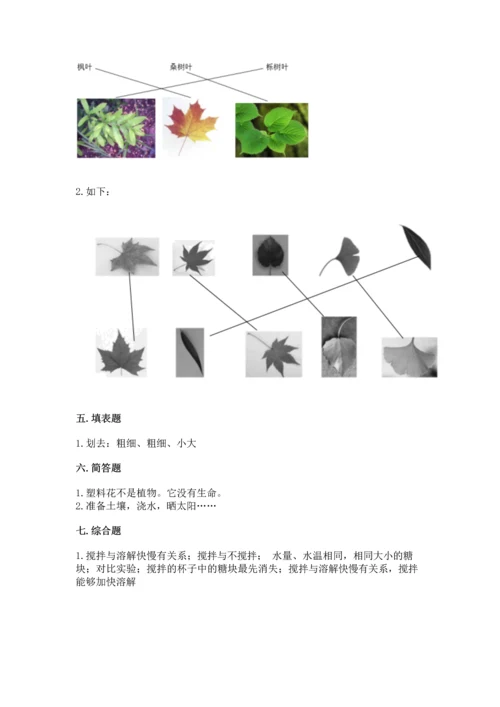 教科版科学一年级上册第一单元《植物》测试卷【最新】.docx