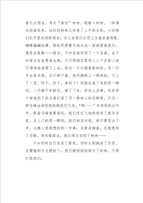 六年级作文叙事我的乐园872字