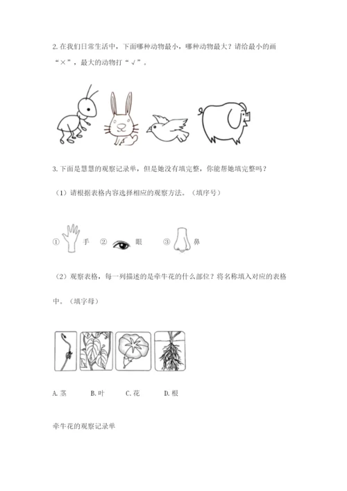 教科版一年级上册科学期末测试卷参考答案.docx