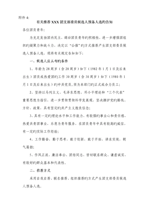 公推直选团支部委员筹备工作专题方案.docx