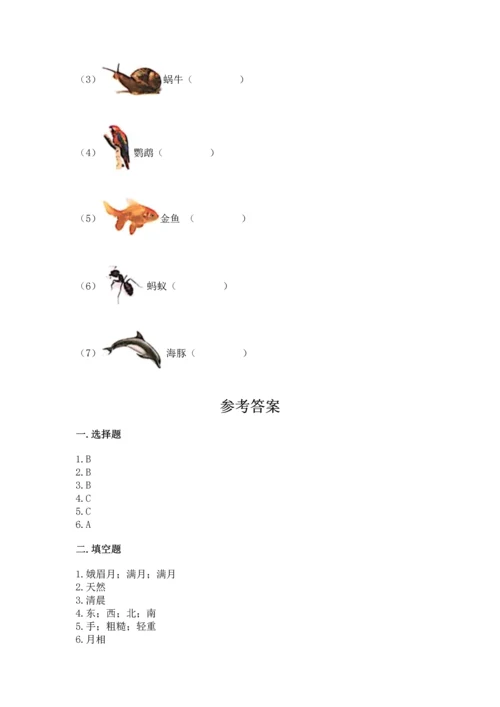 教科版科学二年级上册《期末测试卷》【预热题】.docx