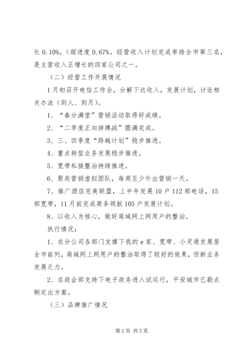 电信分公司工作总结及下年度计划.docx