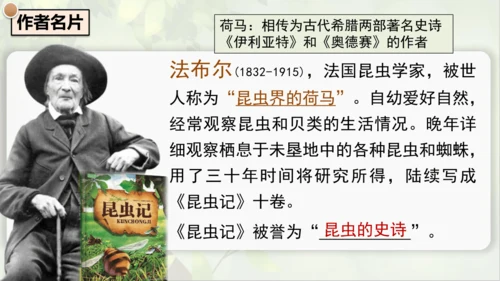 21《蝉》课件