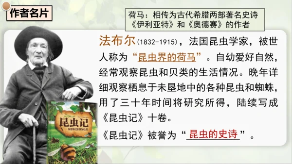 21《蝉》课件
