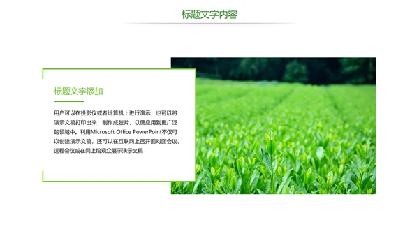 唯美绿色茶园文化茶艺品茶论道PPT模板