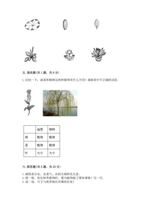 教科版一年级上册科学期末测试卷附参考答案【综合题】.docx