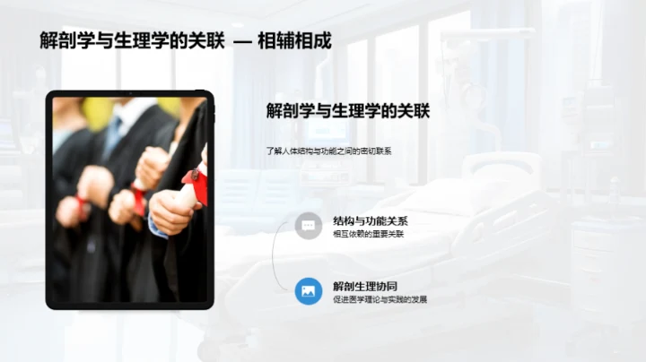 人体解剖学探索