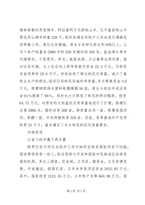 牧区党委书记先进事迹材料.docx