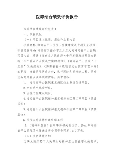 医养结合绩效评价报告_1.docx