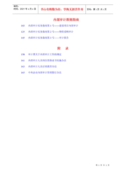 中国内部审计准则及指南.docx