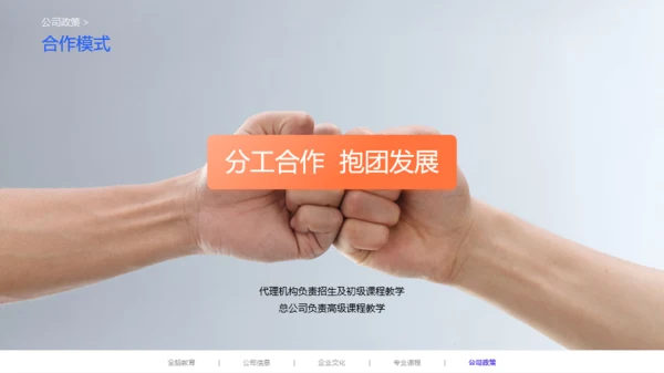 橙色早期全脑儿童教育项目说明会PPT案例