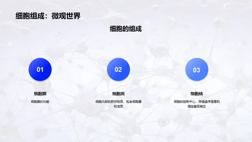 商务风生物医疗教学课件PPT模板