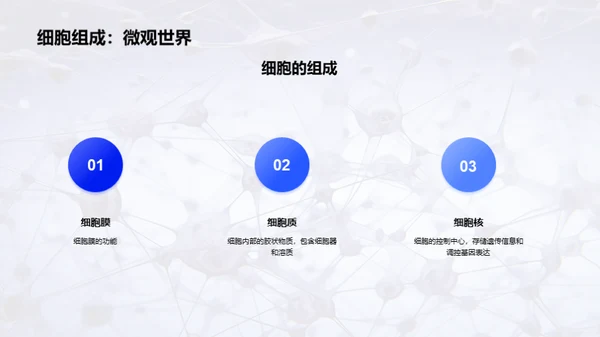 商务风生物医疗教学课件PPT模板