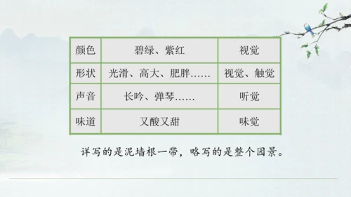 9《从百草园到三味书屋》课件(共33张PPT)2024-2025学年统编版语文七年级上册