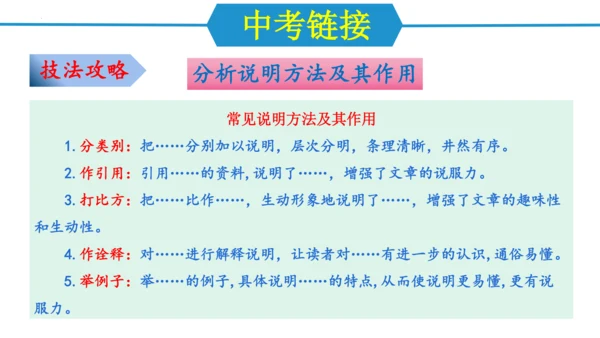 第五单元（单元复习课件）-八年级语文上册同步备课系列（统编版）(共37张PPT)