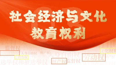 3.1 公民基本权利 (下：社会经济、文化教育) 课件