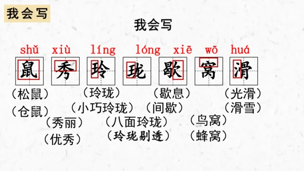 第17课《松鼠》课件