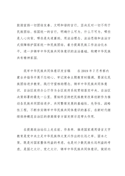 筑牢中华民族共同体意识发言稿.docx