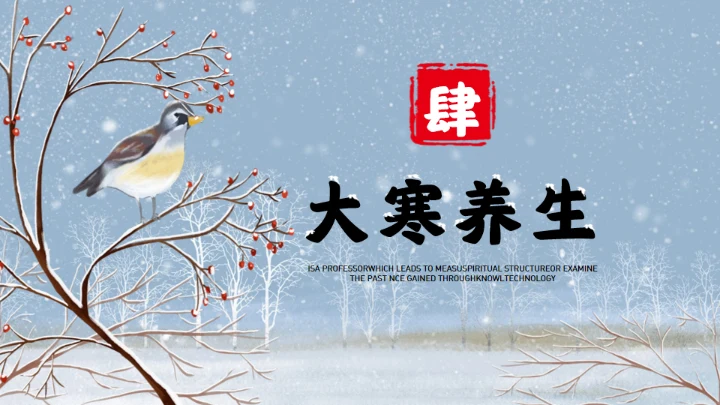 大寒时节冬季通用PPT模板