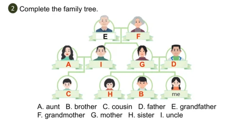 Unit 2   Different families课件（91张PPT)