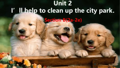 Unit2 SectionB 2a-2d 课件（人教八下Unit 2 I’ll help to cl