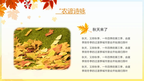 秋天来了银杏树旅游日记秋风季动态PPT