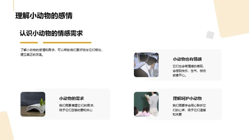 我们的小小动物园